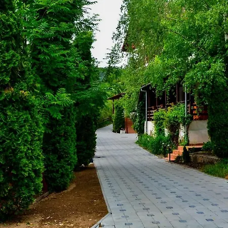 La Papi 4* Bran (Brasov)